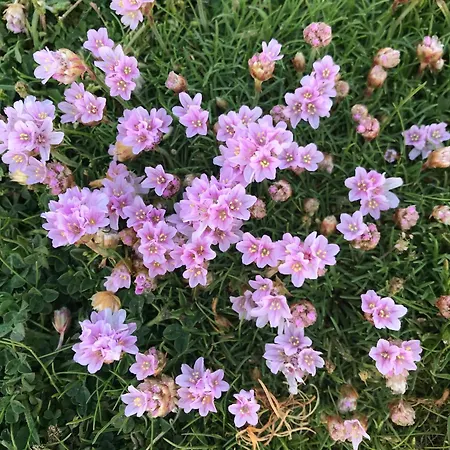 Bleu-de-toi Wimereux