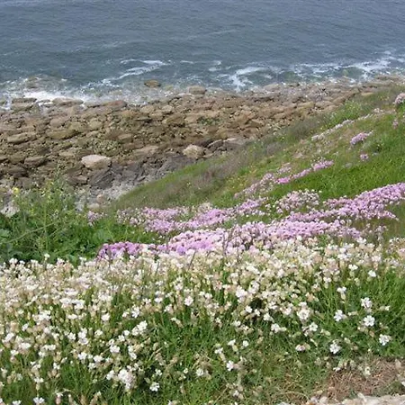 Vakantiehuis Bleu-de-toi